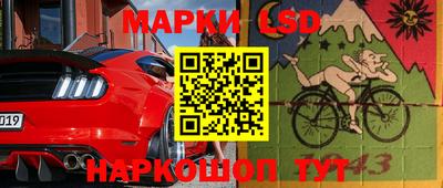шишки Новозыбков