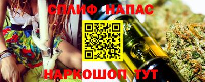 шишки Новозыбков
