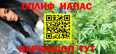 шишки Новозыбков