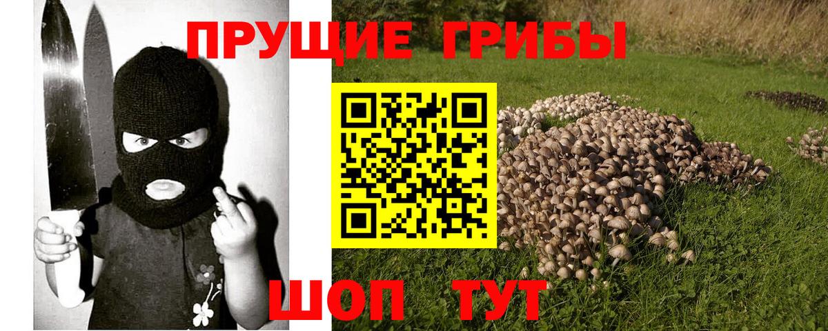 Среднеуральск  Галлюциногенные грибы Psilocybine cubensis  Вход с VPN  Псилоцибиновые грибы мухоморы 